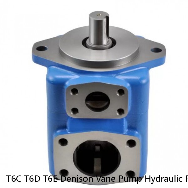 T6C T6D T6E Denison Vane Pump Hydraulic Pump Spare Parts