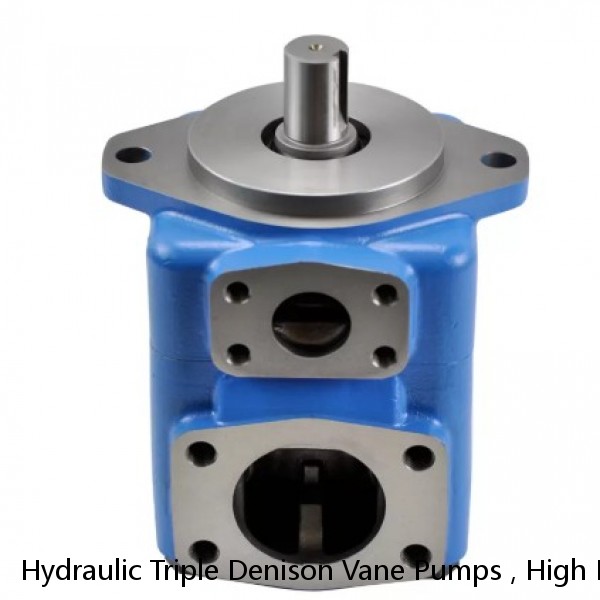 Hydraulic Triple Denison Vane Pumps , High Pressure Vane Pump For Mobile #1 small image