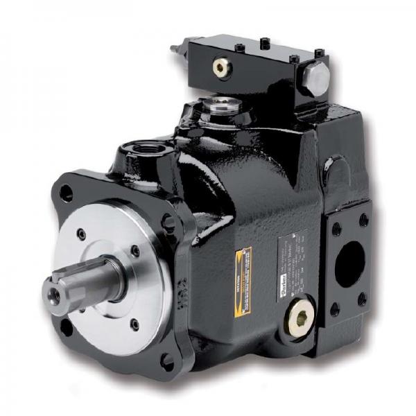 PAKER YB1-80 Piston Pump #2 image