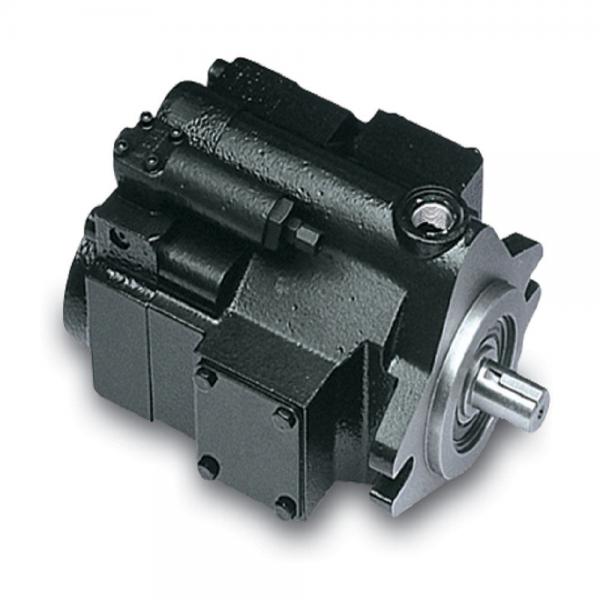 PAKER YB-E160 Piston Pump #1 image